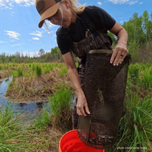 Load image into Gallery viewer, Handmade galvanized wire Cylinder minnow trap with funnel openings
