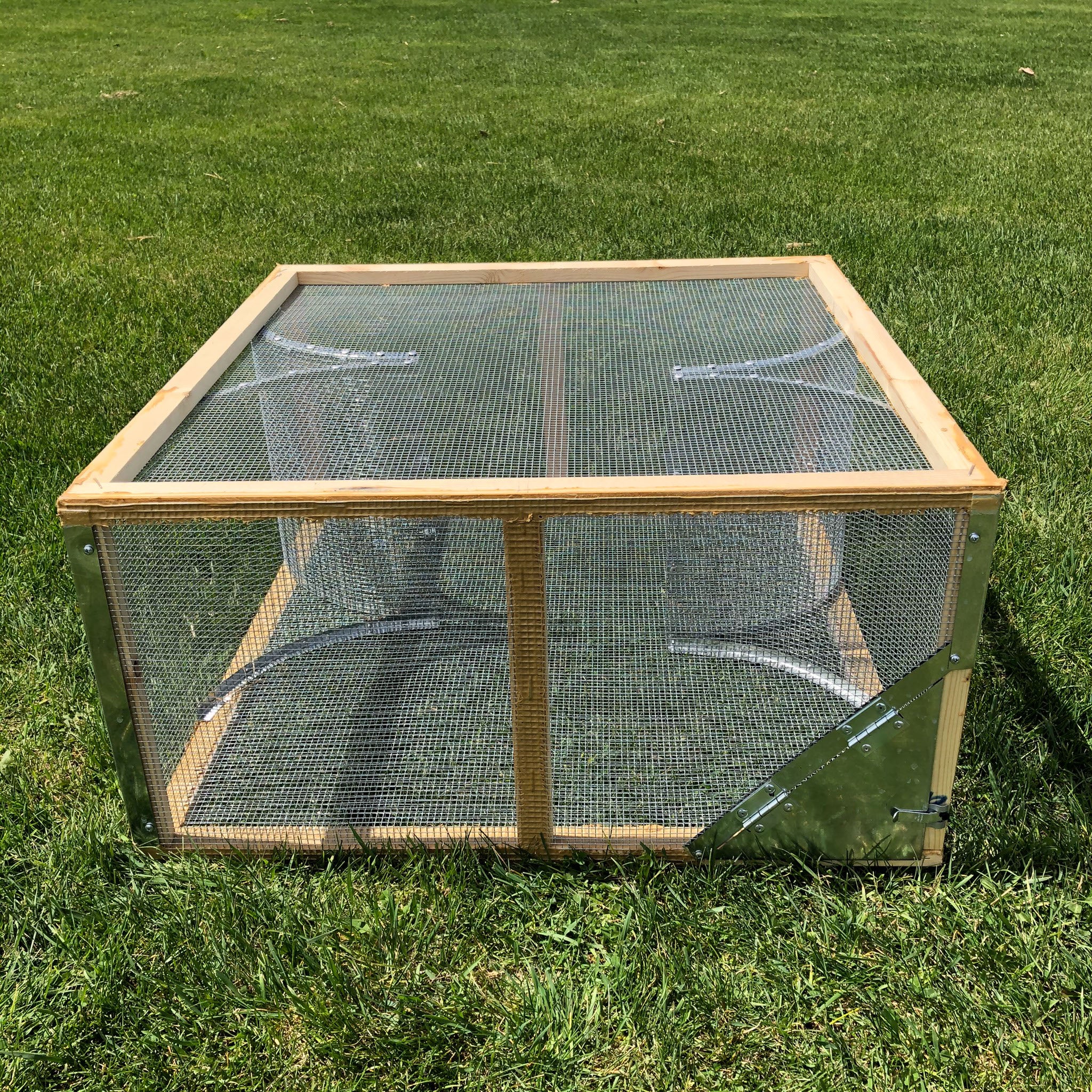 Box Trap 24